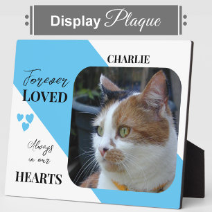 Plaque Photo Photo de chat Sympathie Garde Pet Memorial bleu