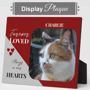 Plaque Photo Photo de chat Sympathy Keepsaké Pet Memorial Bourg