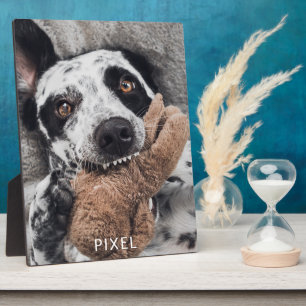Plaque Photo Photo de chien personnalisée