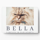 Photo de famille simple et chic moderne pour mémor