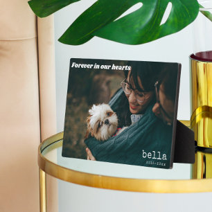 Plaque Photo Photo de mémorial d'animal de compagnie moderne