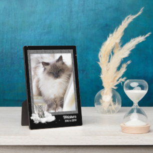 Plaque Photo Photo de mémorial de chat de compagnie argent tabb