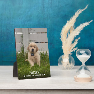 Plaque Photo Photo de mon chien