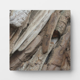Plaque Photo Photo de Shoreline Driftwood