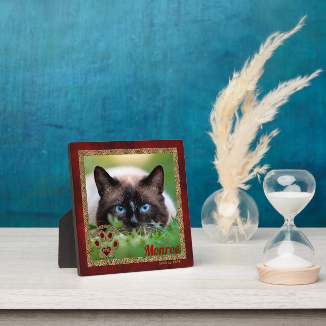 Plaque Photo Photo mémorial de chat siamois (Insitu)