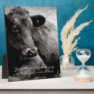 Plaque Photo Photo noir et blanc de Black Angus Steer