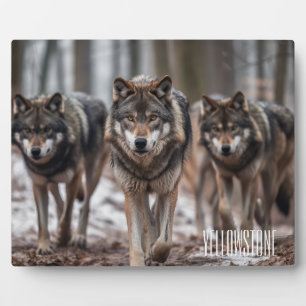 Plaque Photo Photo Plaque-Yellowstone Wolves