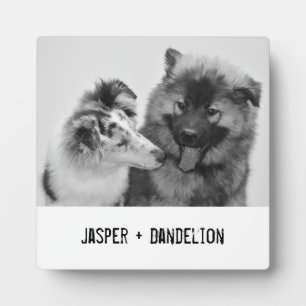 Plaque Photo Photo simple, moderne personnalisée pour animaux d