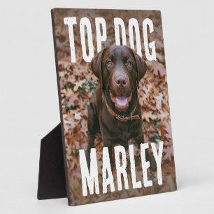 Plaque Photo PhotoPop Meilleur Chien