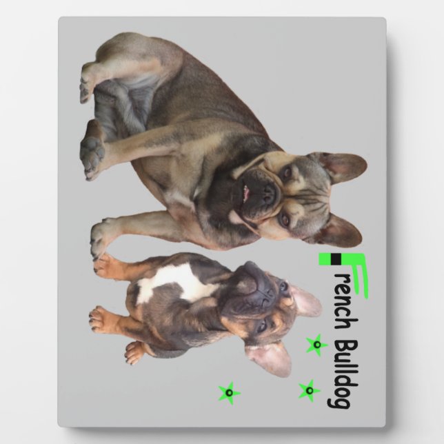 Plaque Photo Photoréserve de Bulldogen (Devant)