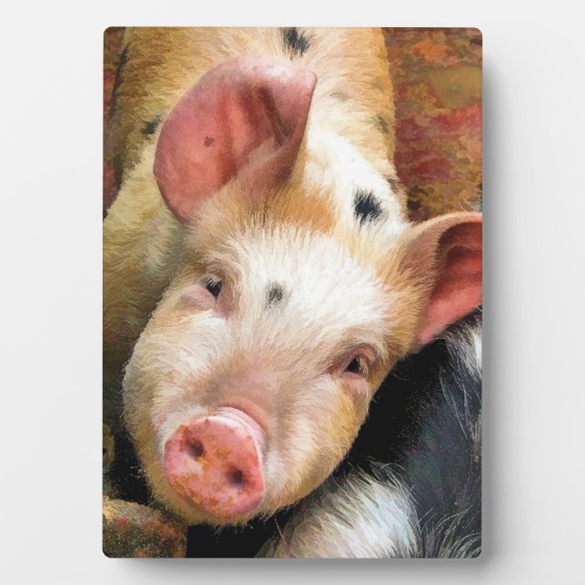 PLAQUE PHOTO PIG (Devant)