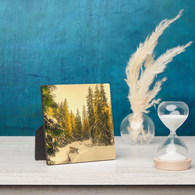 Plaque Photo Pins couverts de neige Forêt Nature Photo (Insitu)