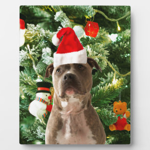 Plaque Photo Pitbull Chien Arbre de Noël Ornements Snowman