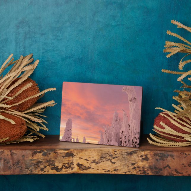 Plaque Photo Plage de corégones | Corégone, Montana (Côté)