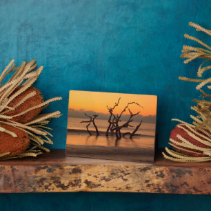 Plaque Photo Plage de Driftwood à Sunrise Jekyll Island Georgia
