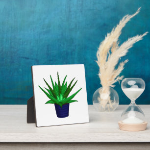 Plaque Photo Plante Aloe Vera