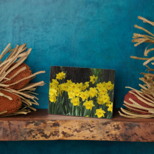 Plaque Photo Plaque-Daffodils Art Décor