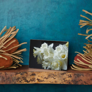 Plaque Photo Plaque-Daffodils Art Décor