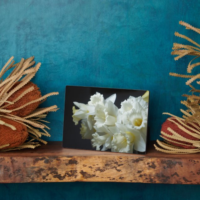 Plaque Photo Plaque-Daffodils Art Décor (Côté)