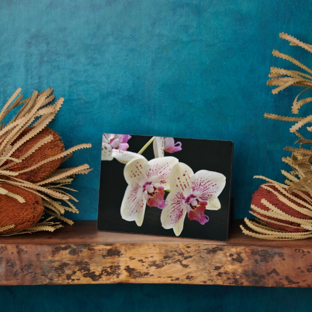 Plaque Photo Plaque-Orchidées Art Décor (Côté)