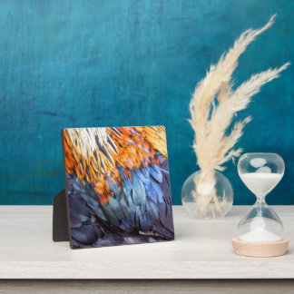 Plaque Photo Plume d'art fin
