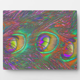 Plaque Photo Plumes Peacock Tinsel de Noël