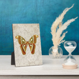 Plaque Photo Plutôt Vintage Moth Botanical Tabletop