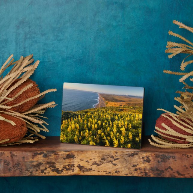 Plaque Photo Point Reyes National Seashore California (Côté)