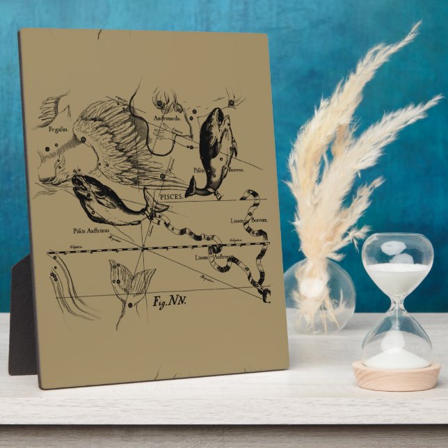 Plaque Photo Poissons Constellation Hevelius 1690 Décor (Côté)