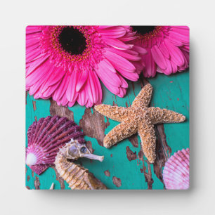 Plaque Photo Poissons Roses Et Hippocampe À L'Amier