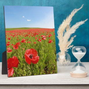 Plaque Photo Poppy field - Stunning!