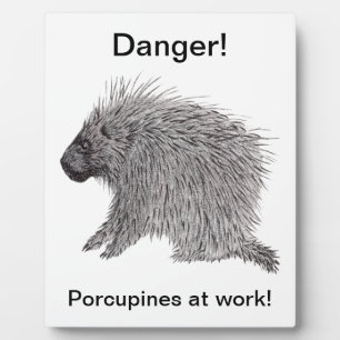 Plaque Photo Porcupine