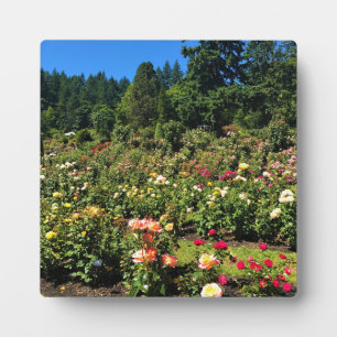 Plaque Photo Portland Rose Garden