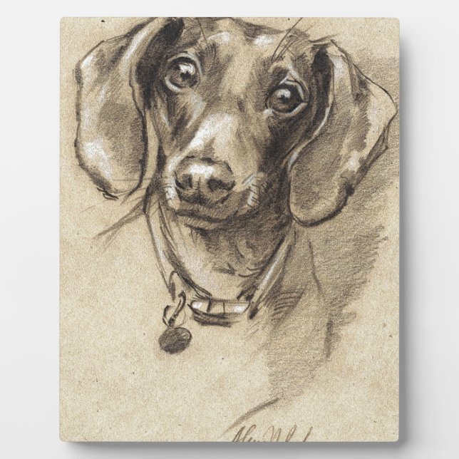 Plaque Photo Portrait de Dachshund (Devant)