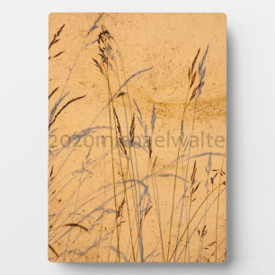 Plaque Photo Poster Acrylique Carte Postale Grasses Et Ombres D