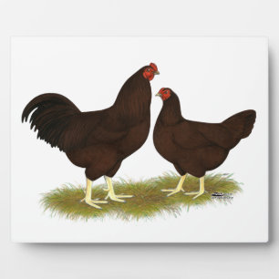 Plaque Photo Poules Buckeye