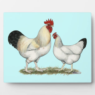 Plaque Photo Poulets de la rivière Indian