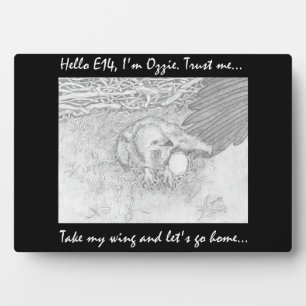 PLAQUE PHOTO PRECIOUS E14 TAKING OZZIE'S WING LET'S GO HOME