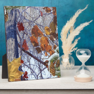 Plaque Photo Premier Camouflage hivernal de neige