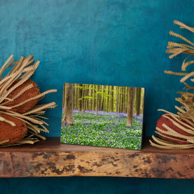 Plaque Photo Printemps dans la forêt bleue (Côté)