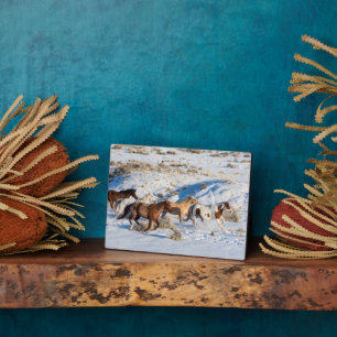 Plaque Photo Promenade à cheval en hiver sur Hideout Ranch