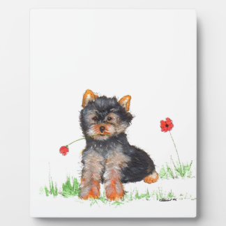Plaque Photo Pub de Yorkshire terrier