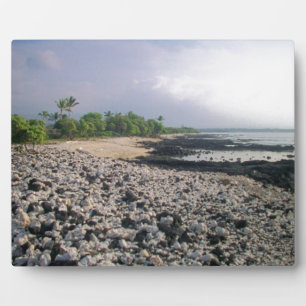 Plaque Photo PunaluGu Plage de sable noir Hawaii Big Island