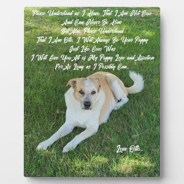 Plaque Photo Puppy Love (Devant)