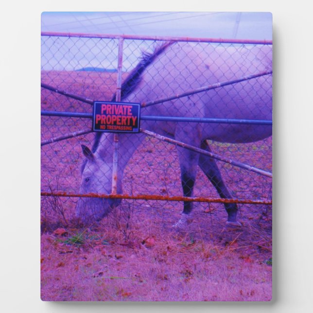 Plaque Photo Purple Propriété Privée Horse (Devant)