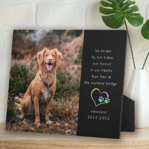 Plaque Photo Rainbow Parties scintillant Black Photo Pet Memori
