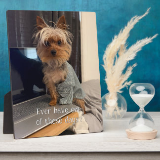 Plaque Photo Ralphie le Yorkie Tasse à Thé a Une de Ces Journée