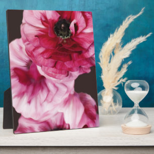 Plaque Photo Ranunculus rouge