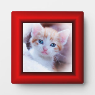 Plaque Photo Red Faux Frame Square Photo Border