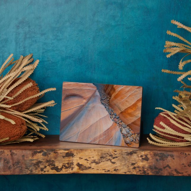 Plaque Photo Red Rock Valley Fire State Park Nevada (Côté)